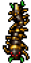 Centipede